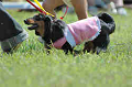 050918_sports_B-0557_thumb.png