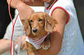 050918_sports_B-0565_thumb.png