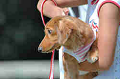 050918_sports_B-0566_thumb.png