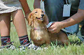 050918_sports_B-0575_thumb.png