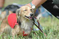 050918_sports_B-0576_thumb.png