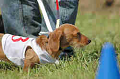 050918_sports_B-0580_thumb.png