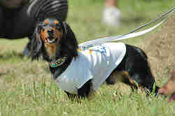 050918_sports_B-0584.jpg