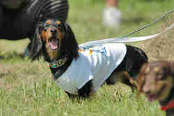 050918_sports_B-0585.jpg