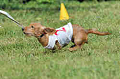 050918_sports_B-0589_thumb.png