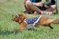 050918_sports_B-0590_thumb.png