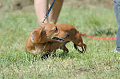 050918_sports_B-0591_thumb.png