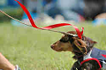 050918_sports_B-0597_thumb.png