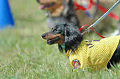 050918_sports_B-0599_thumb.png