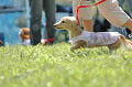 050918_sports_B-0602_thumb.png