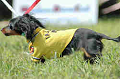 050918_sports_B-0605_thumb.png