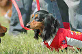 050918_sports_B-0613_thumb.png