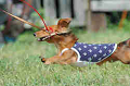 050918_sports_B-0618_thumb.png