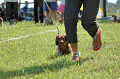 050918_sports_B-0634_thumb.png