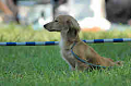 050918_sports_B-0641_thumb.png