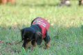 050918_sports_B-0644_thumb.png