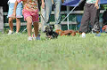 050918_sports_B-0646_thumb.png