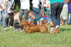 050918_sports_B-0652.jpg