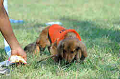 050918_sports_B-0653_thumb.png