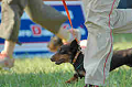 050918_sports_B-0655_thumb.png