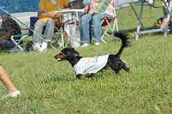 050918_sports_B-0659.jpg