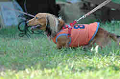 050918_sports_B-0662_thumb.png