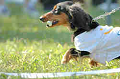 050918_sports_B-0664_thumb.png