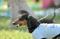 050918_sports_B-0665_thumb.png