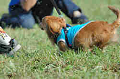 050918_sports_B-0671_thumb.png