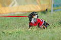 050918_sports_B-0675_thumb.png