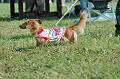 050918_sports_B-0689_thumb.png