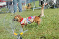050918_sports_B-0691_thumb.png
