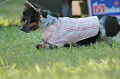 050918_sports_B-0702_thumb.png