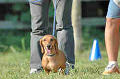 050918_sports_B-0704_thumb.png