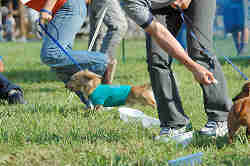050918_sports_B-0706.jpg