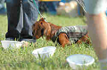050918_sports_B-0712_thumb.png