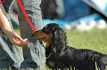 050918_sports_B-0714_thumb.png