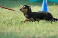 050918_sports_B-0717_thumb.png