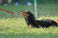 050918_sports_B-0719_thumb.png