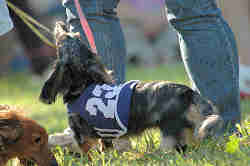 050918_sports_B-0720.jpg