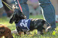 050918_sports_B-0720_thumb.png