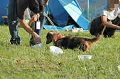 050918_sports_B-0726_thumb.png