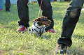 050918_sports_B-0729_thumb.png