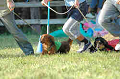 050918_sports_B-0731_thumb.png