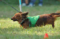 050918_sports_B-0738_thumb.png