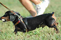 050918_sports_B-0745_thumb.png