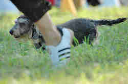 050918_sports_B-0747.jpg