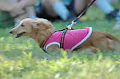 050918_sports_B-0753_thumb.png