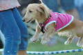 050918_sports_B-0754_thumb.png