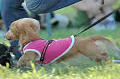 050918_sports_B-0759_thumb.png